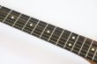 画像9: Fender　American Acoustasonic Stratocaster Black (9)
