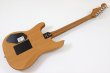画像5: Fender　American Acoustasonic Stratocaster Black (5)