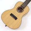 画像2: KALA　Exotic Mahogany Concert Ukulele KACEM-WBAG20_06 (2)