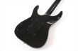 画像6: Edwards　E-HORIZON-CTM 50TH Ash Black Burst (6)