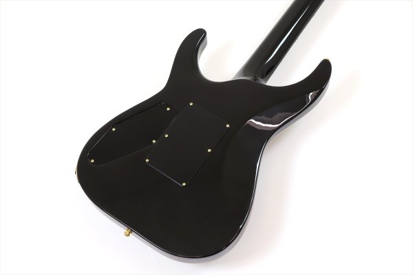 画像6: Edwards　E-HORIZON-CTM 50TH Ash Black Burst (6)