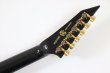 画像7: Edwards　E-HORIZON-CTM 50TH Ash Black Burst (7)