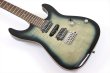 画像8: Sfida（スフィーダ）　SST-900 Black Burst (8)