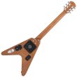 画像2: Pignose　スピーカー内臓ミニギター PGG-200V STBR 【ヘッドフォン付き】 (2)