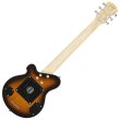 画像2: Pignose　スピーカー内臓ミニギター PGG-200 BS 【ヘッドフォン付き】 (2)
