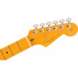 画像5: Fender　American Professional Stratocaster, Maple Fingerboard, Oxblood (5)