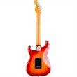 画像2: Fender　American Professional Stratocaster HSS, Rosewood Fingerboard, Aged Cherry Burst (2)