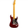 画像1: Fender　American Professional Stratocaster, Maple Fingerboard, Oxblood (1)