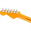 画像6: Fender　American Professional Stratocaster, Maple Fingerboard, Oxblood (6)