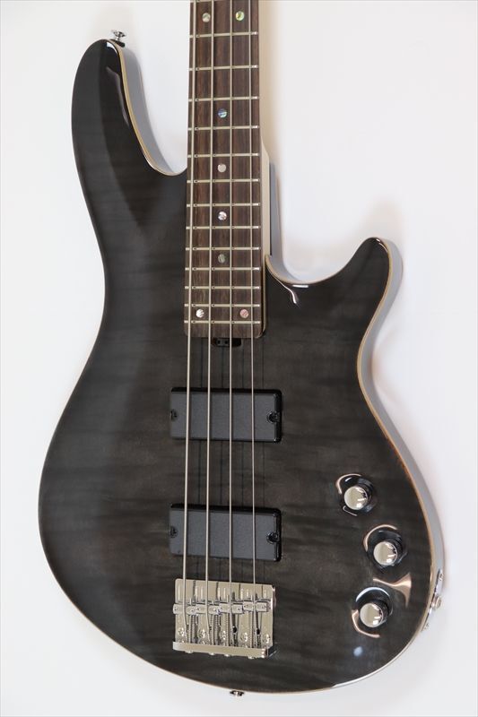 SCHECTER Japan Original LINE JOL-CT-B-4 STBK